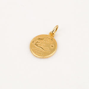 Aquarius Zodiac Charm