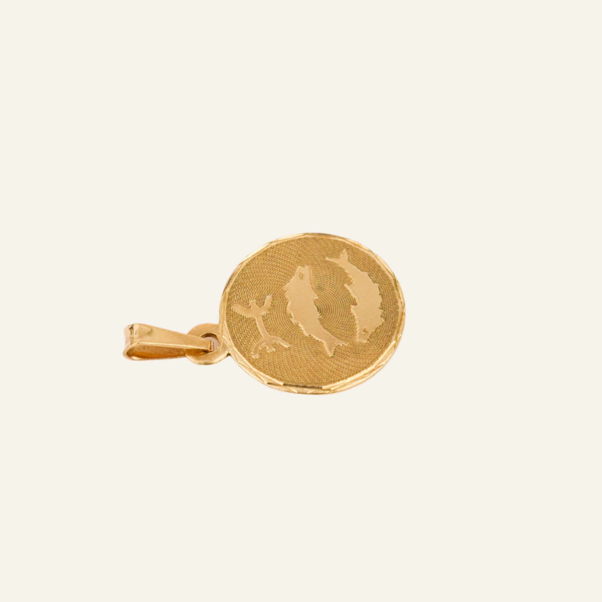 Pisces Charm