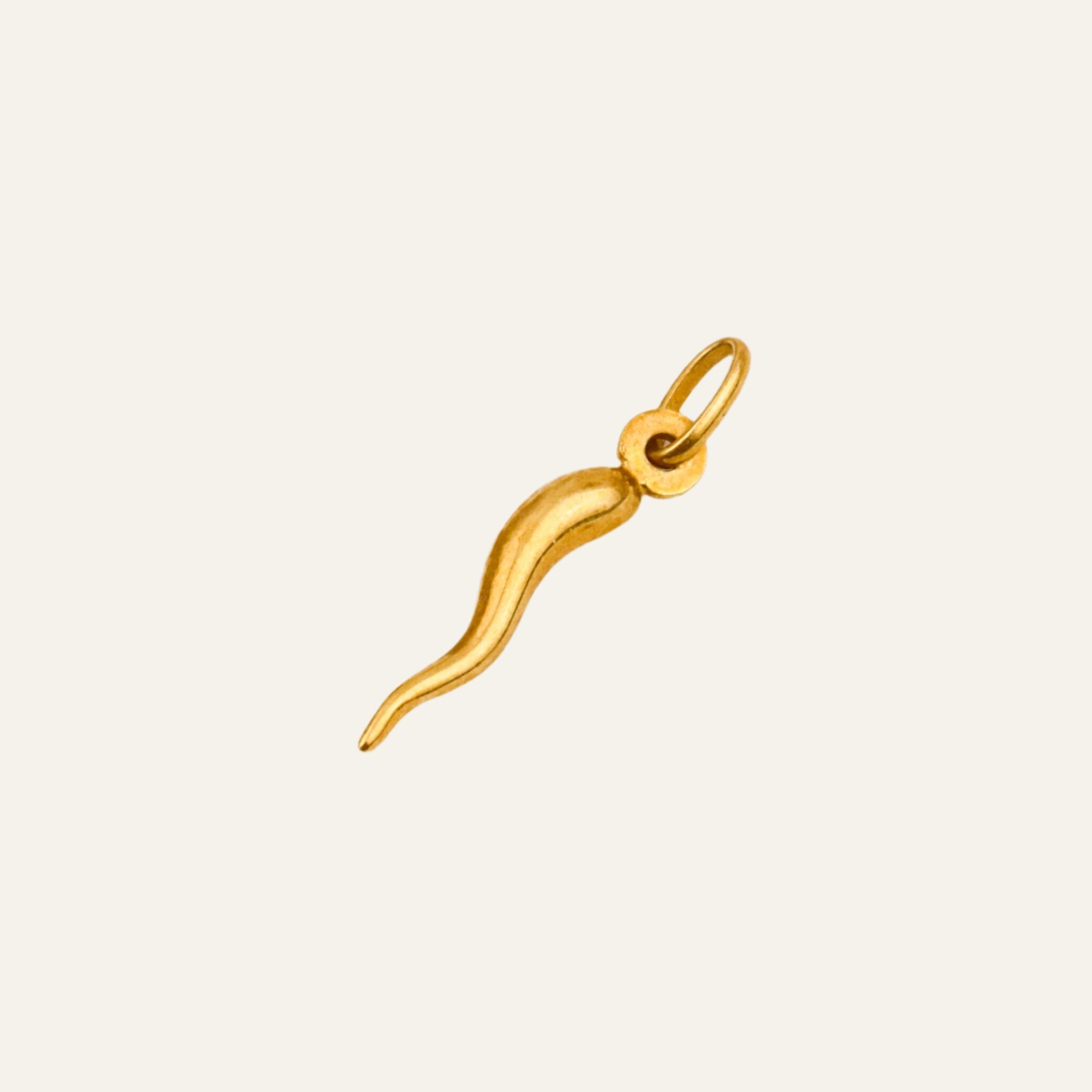 20 mm Cornicello Charm