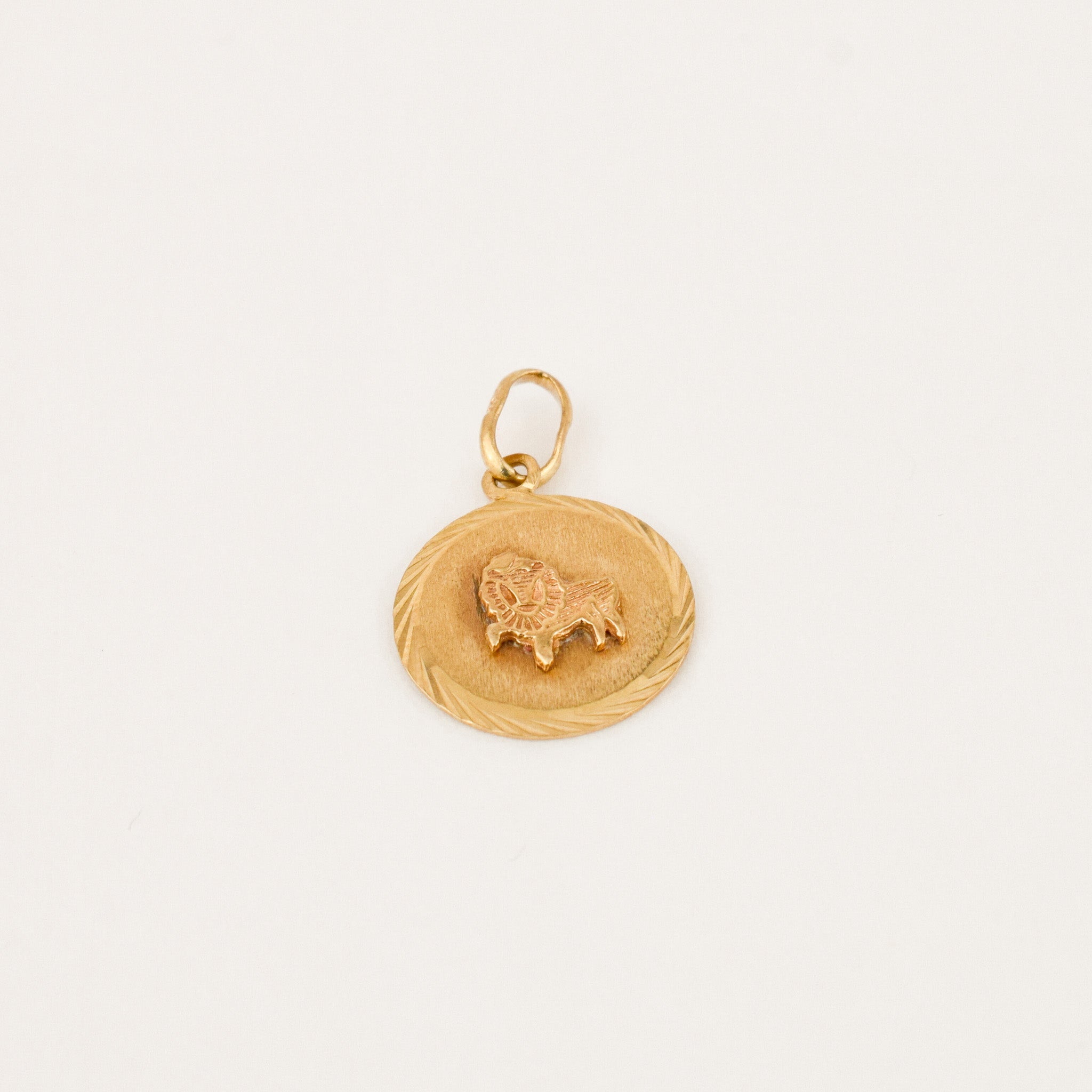 Little Leo Charm