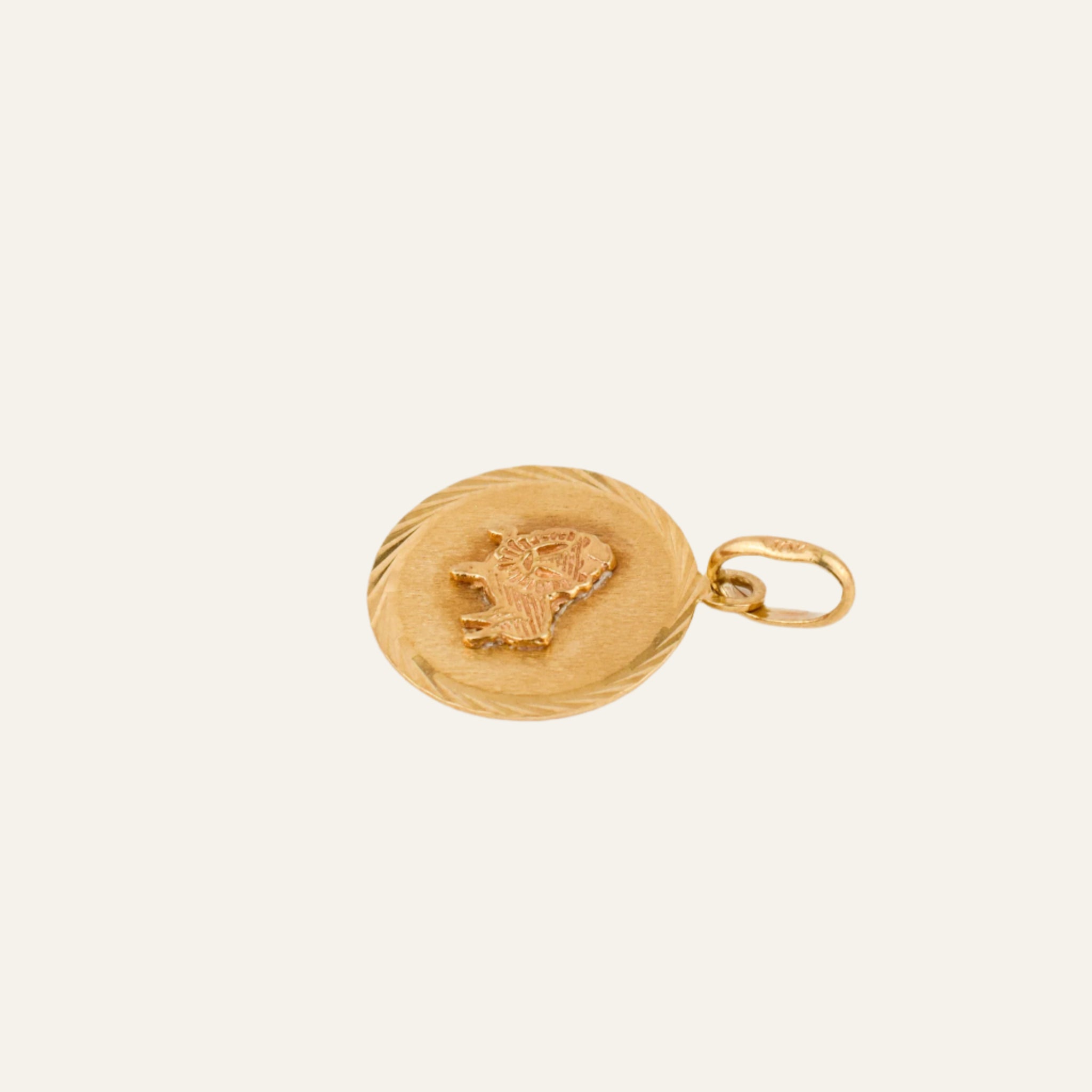 Little Leo Charm
