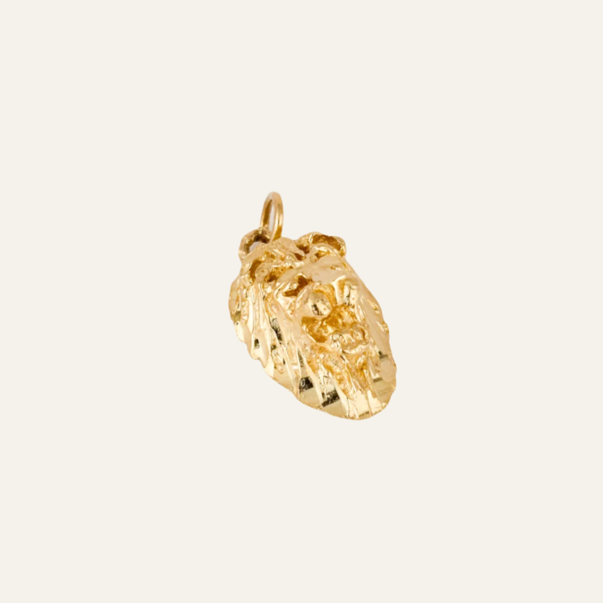 Lion Head Charm