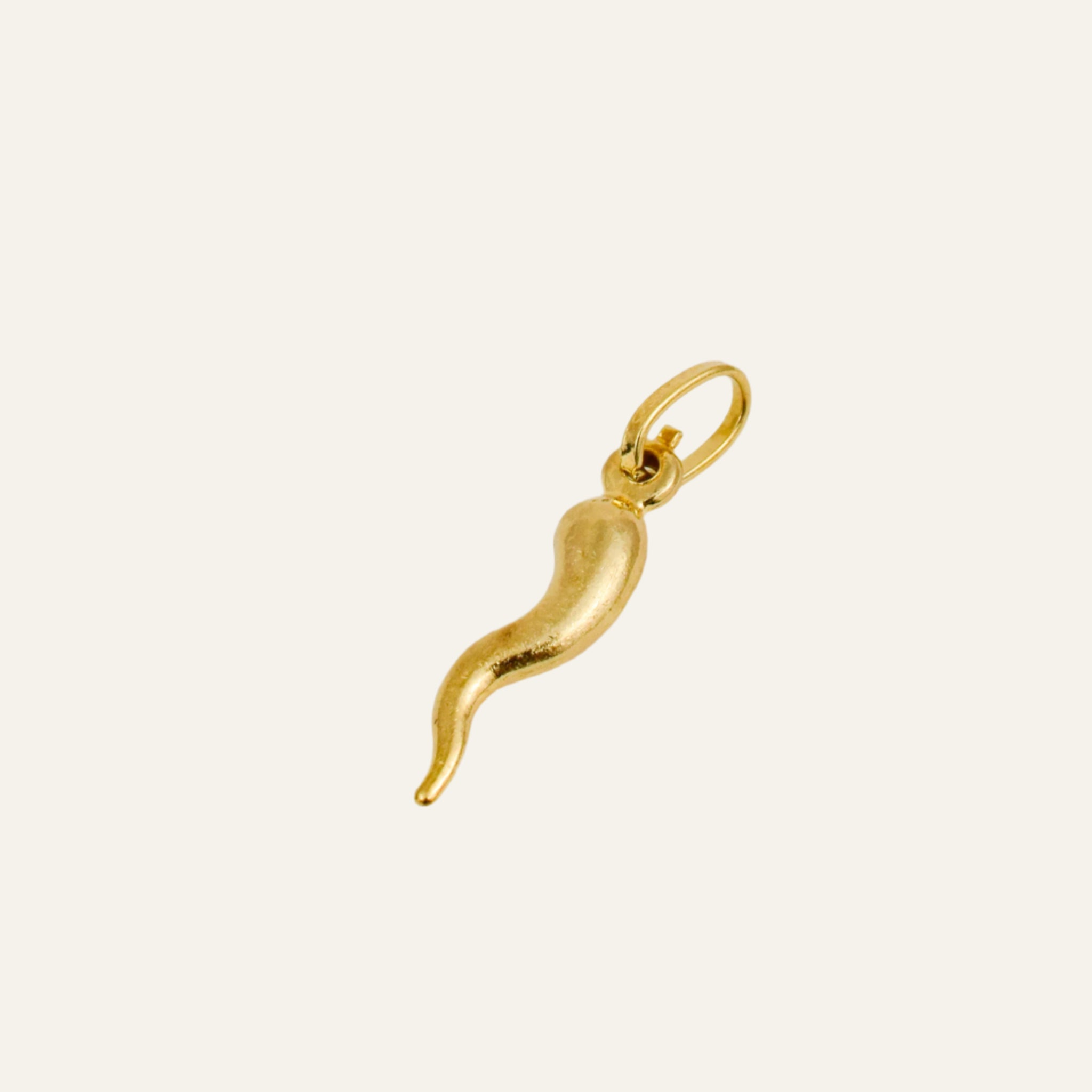 21mm Cornicello Charm