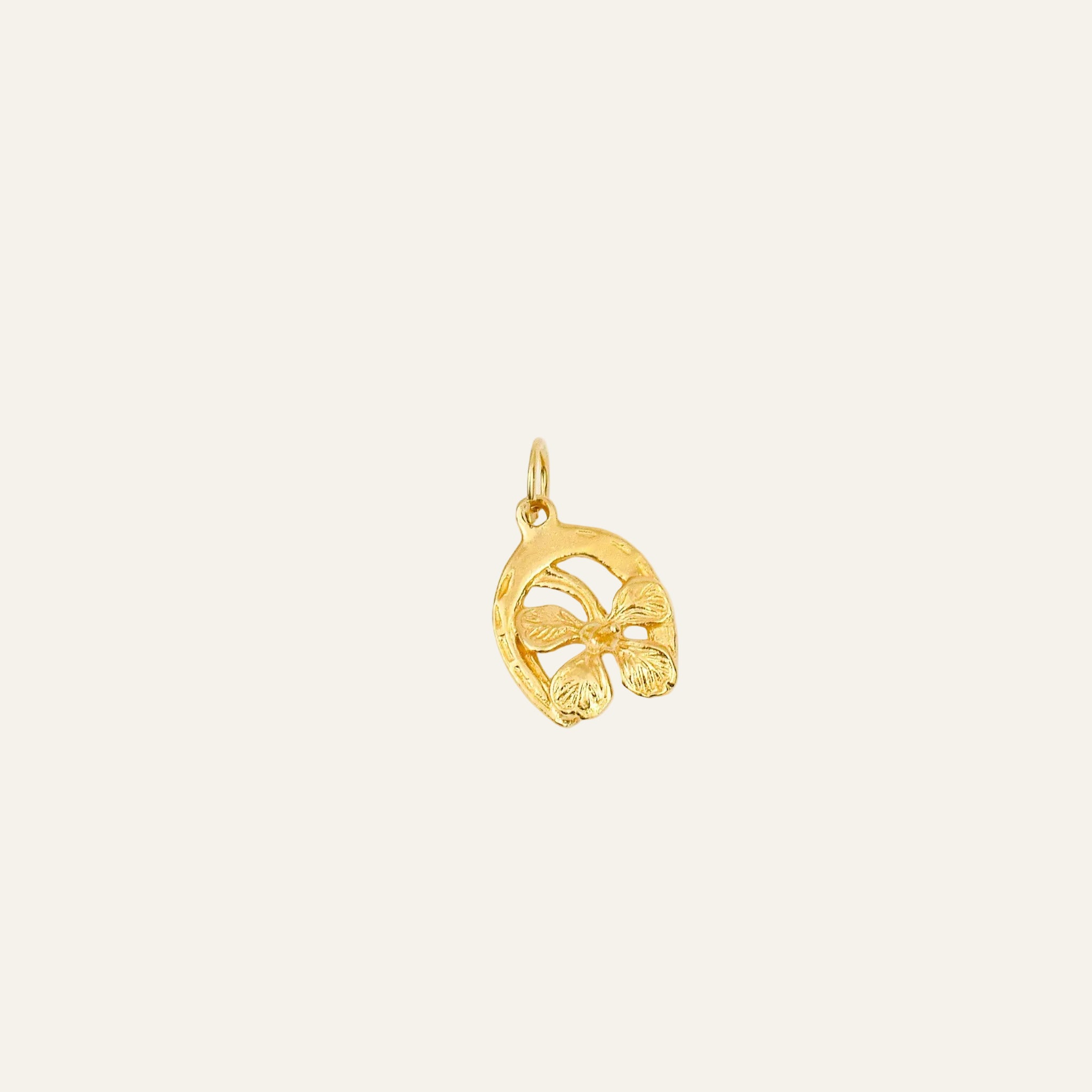 Lucky Horseshoe Charm