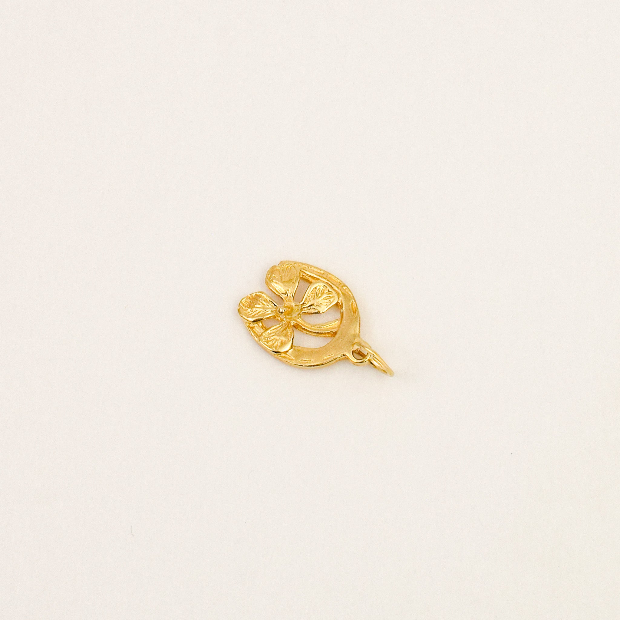 Lucky Horseshoe Charm