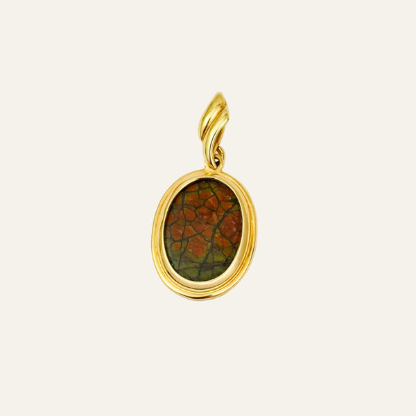 Bezel Set Ammonite Pendant