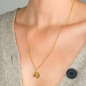 vintage Good Luck Charm 