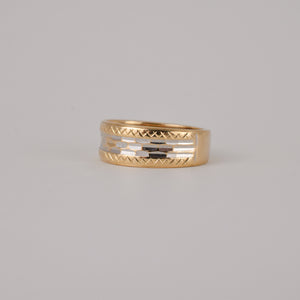 Glorious Two-Toned Band (10k)