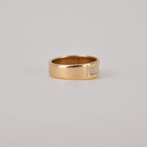 Glorious Two-Toned Band (10k)