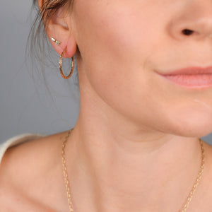 Rose Gold Pitted Hoops