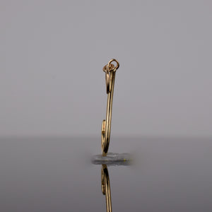 Golden Fish Hook Pendant